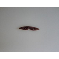 Fake Mustache